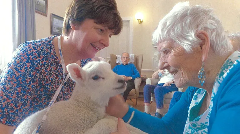 2 women petting a little lamb
