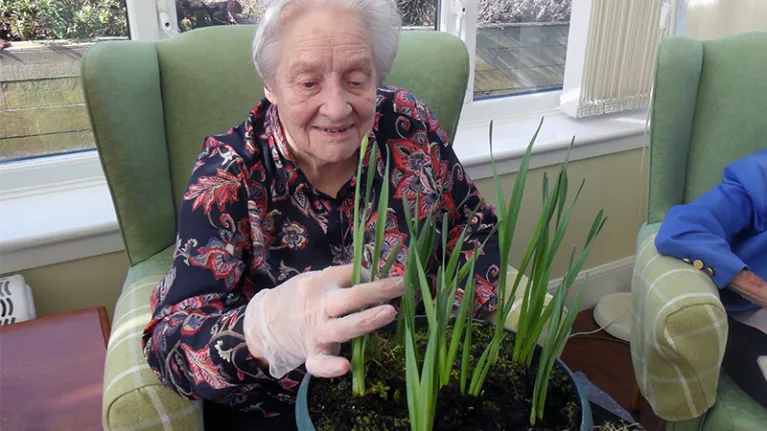 A woman planting bulbs in Morlich House conservatory